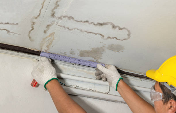 Reliable Mold Remediation contractor in Brohman, MI by Water Damage Irwin